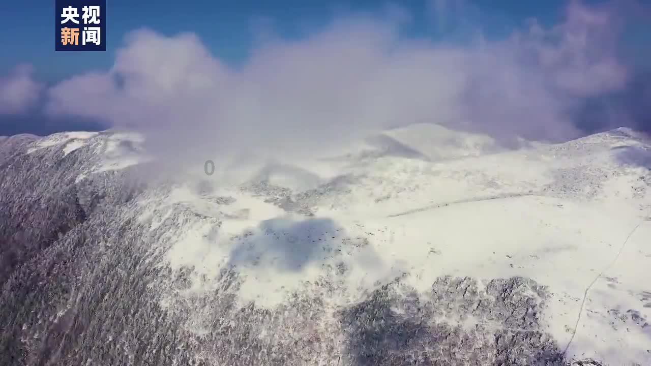 天国拯救