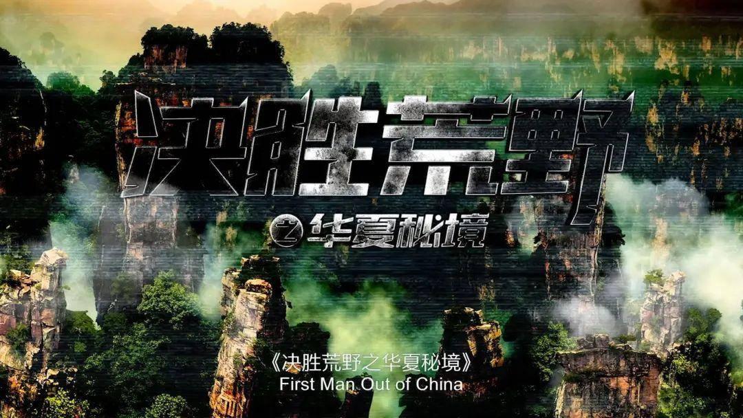 可爱啄木鸟逃脱