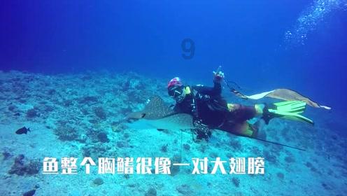 战僵特警